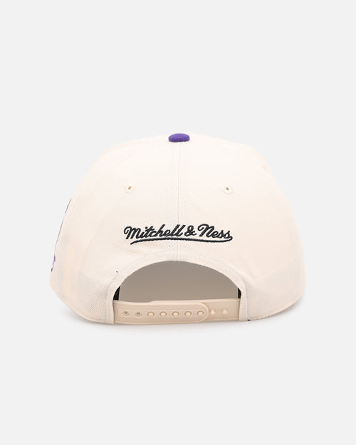 Mitchell & Ness Chicago Bulls 'Chainstitch Wordmark' Pro Pinch Snapback Purple