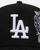 New Era Los Angeles Dodgers 'Ornate Rose' 9FORTY A-Frame Snapback Black/White