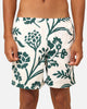 XXIII James Shorts Cream/Green