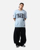 Pro Standard Detroit Tigers Stamped T-Shirt Light Blue