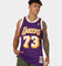 Mitchell & Ness Los Angeles Lakers Dennis Rodman #73 '98-'99 Road Swingman Jersey Purple