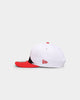 New Era Toronto Raptors Paint Stripe Old Golfer Snapback Paint Brush/Kelly Green/Red
