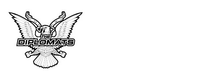 DIPSET USA logo