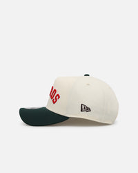 New Era Houston Astros 'Mexican Independence Day' 9FORTY A-Frame Snapback Chrome/Dark Green