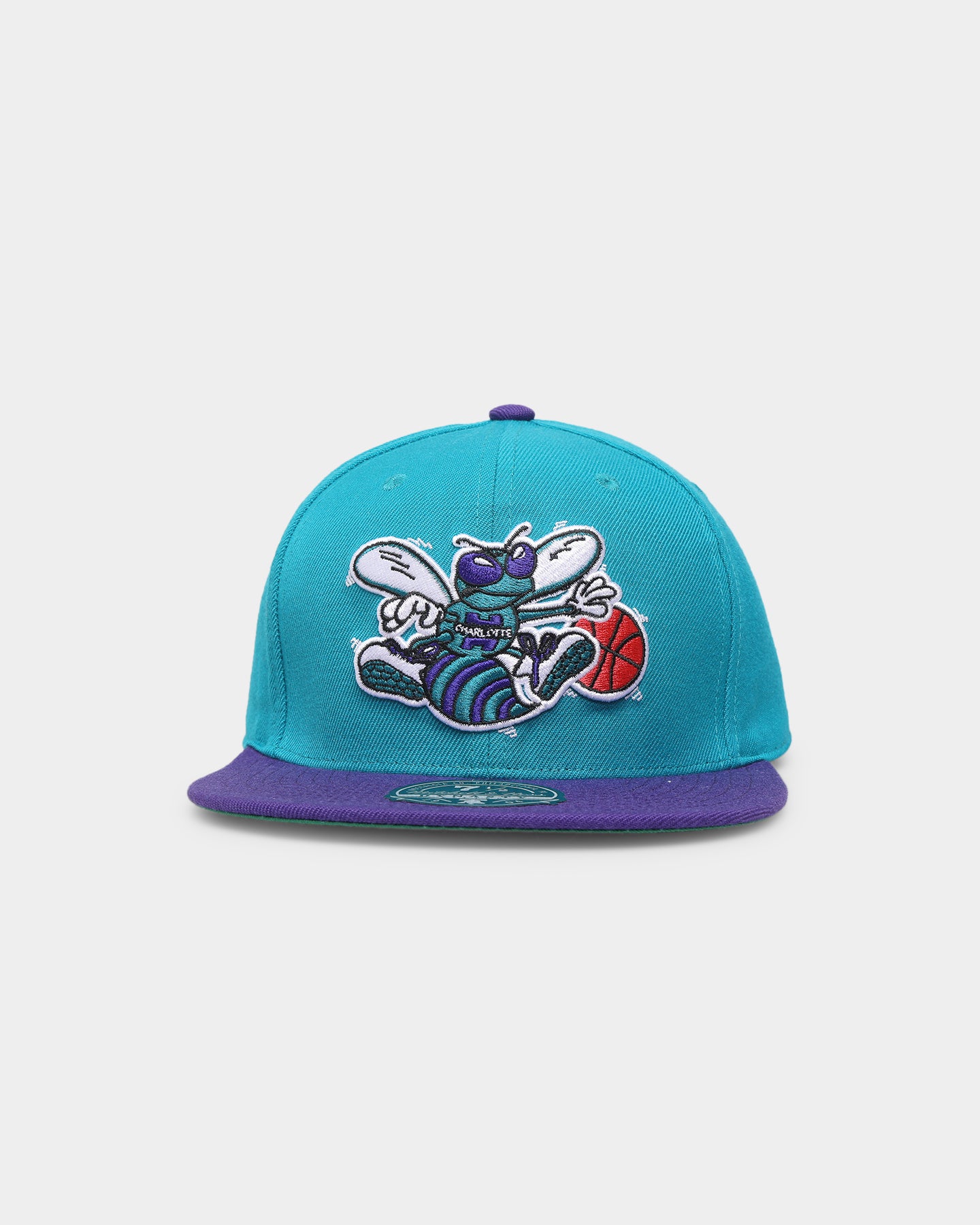 Mitchell & Ness Charlotte Hornets 'Team 2 Tone 2.0 Hardwood
