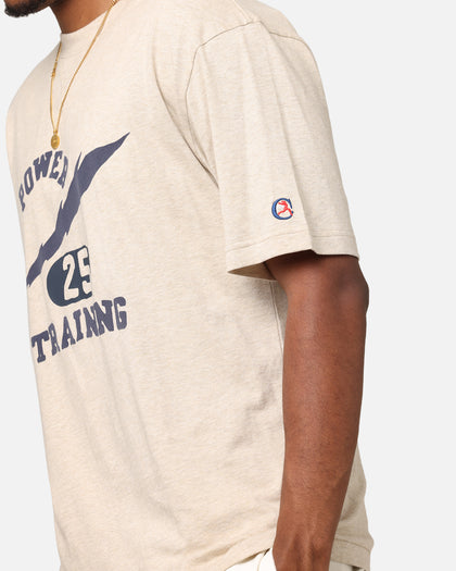 Champion Vintage Mix P.E Class T-Shirt Oatmeal Heather