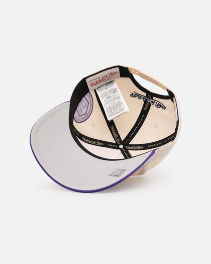 Mitchell & Ness Los Angeles Lakers 'Chainstitch Wordmark' Pro Pinch Snapback Purple