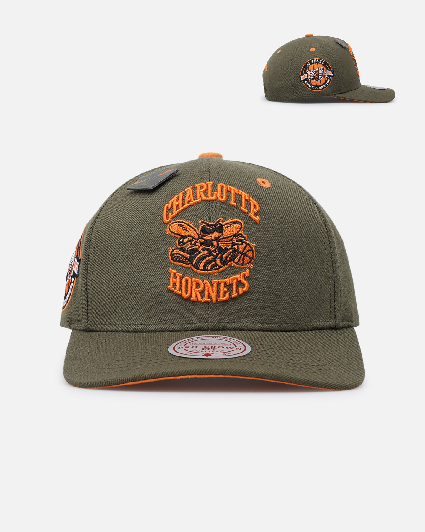 Mitchell & Ness Charlotte Hornets 'Harmony of Hues' Pro Crown