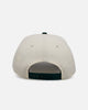 New Era Cleveland Browns 'Evergreen 2.0' 9FORTY A-Frame Snapback Chrome/Dark Green
