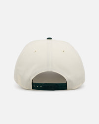 New Era Miami Dolphins 'Croc Skin 2.0' 9FORTY A-Frame Snapback Chrome/Dark Green