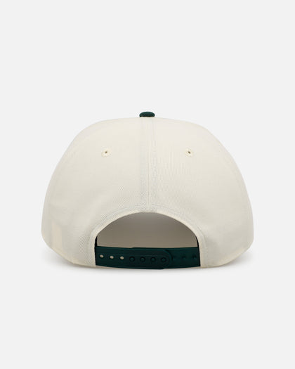 New Era Miami Dolphins 'Croc Skin 2.0' 9FORTY A-Frame Snapback Chrome/Dark Green