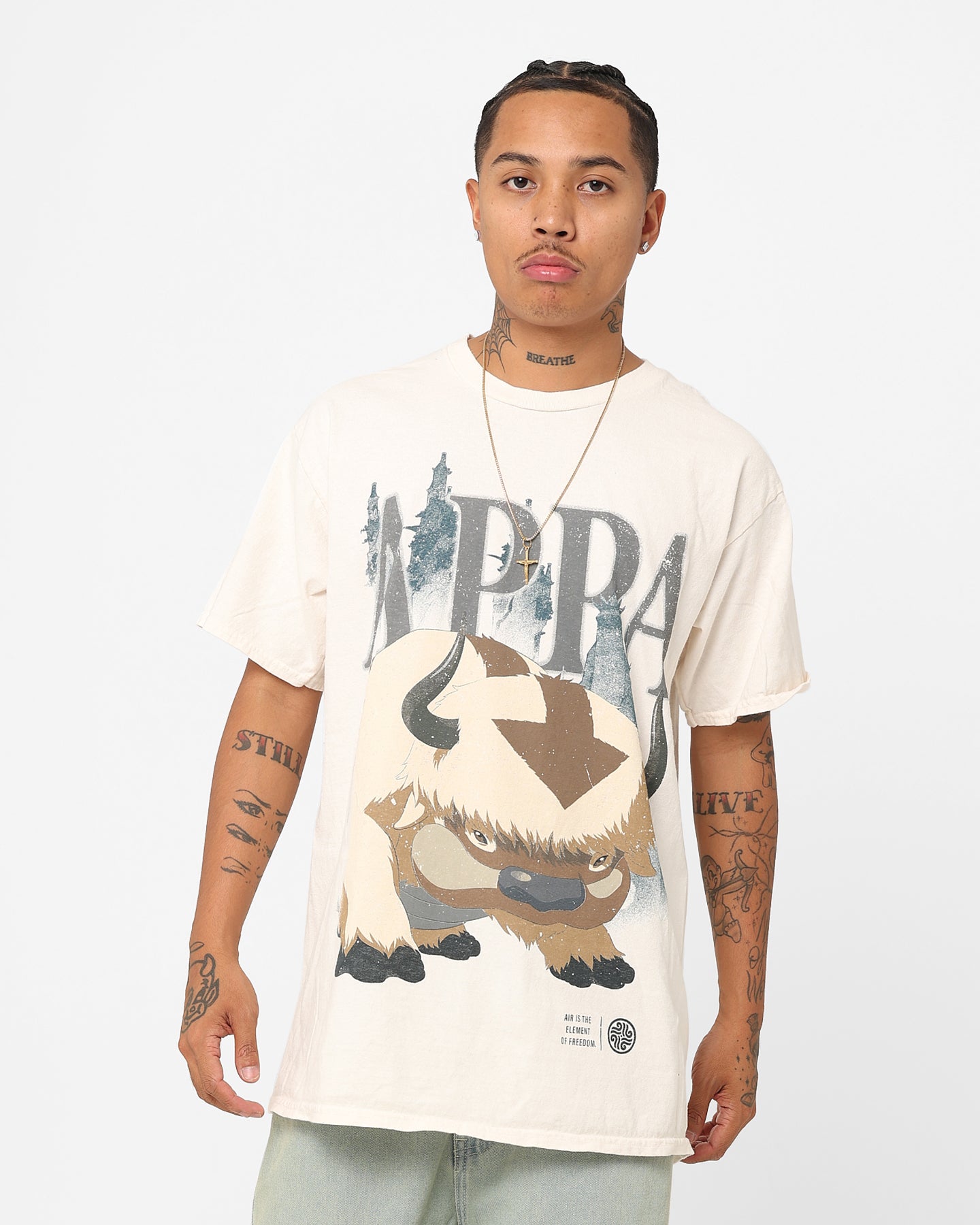 Goat Crew X Avatar: The Last Airbender Appa Vintage T-Shirt Off