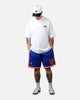Mitchell & Ness New York Knicks 91-92' Swingman Shorts Blue