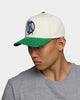 Mitchell & Ness Boston Celtics Pro Crown Snapback Off White/Green