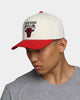 Mitchell & Ness Chicago Bulls Pro Crown Snapback Off White/Red