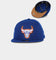 New Era Chicago Bulls "Cereal Wheat Bottoms" 59FIFTY Fitted Light Royal