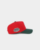 47 Brand New York Yankees 'Scarlet Pines' Sure Shot '47 MVP DT Snapback Red/Dark Green