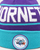 Mitchell & Ness Charlotte Hornets Team Pom Beanie Dark Teal