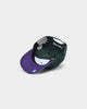 Mitchell & Ness Milwaukee Bucks 'City Love' Pro Crown Snapback Original Team Colours