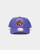 Mitchell & Ness Toronto Raptors 'Nylon Hardwood Classics Logo' Deadstock Snapback Original Team Colours