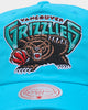 Mitchell & Ness Vancouver Grizzlies 'Nylon Hardwood Classics Logo' Deadstock Snapback Original Team Colours