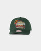 Mitchell & Ness Seattle Sonics '96 Champions '1996 Bulls VS Sonics NBA Finals' Pro Crown Snapback Faded Green