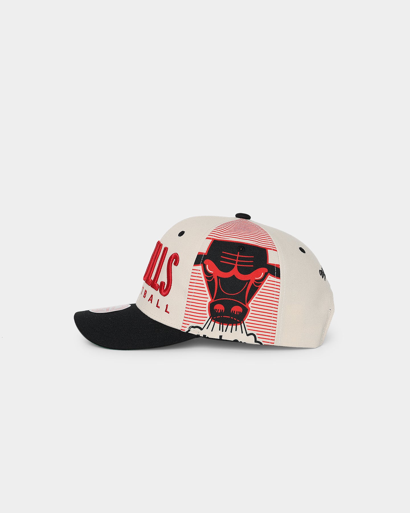 Mitchell & Ness Chicago Bulls '90s Training Camp' Pro Crown