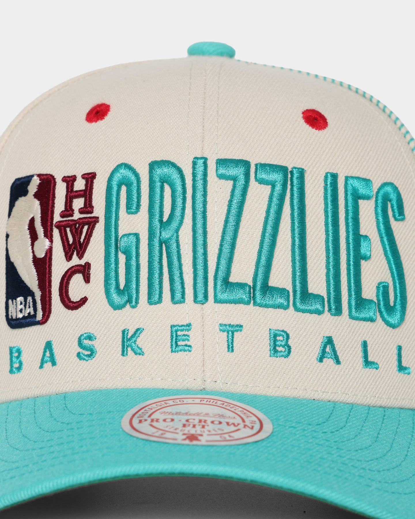 Mitchell & Ness Vancouver Grizzlies '90s Training Camp' Pro Crown