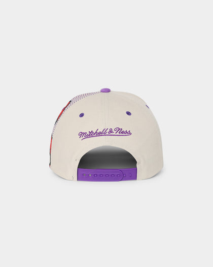 Mitchell & Ness Toronto Raptors '90s Training Camp' Pro Crown Snapback Cream