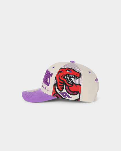 Mitchell & Ness Toronto Raptors '90s Training Camp' Pro Crown Snapback Cream