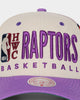 Mitchell & Ness Toronto Raptors '90s Training Camp' Pro Crown Snapback Cream