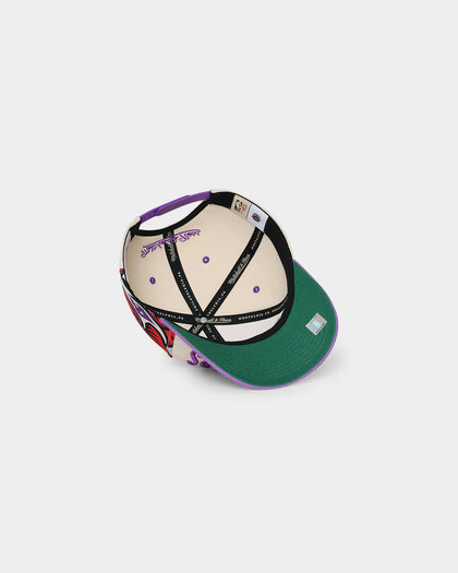 Mitchell & Ness Toronto Raptors '90s Training Camp' Pro Crown Snapback Cream