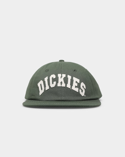 Dickies Princeton Snapback Green