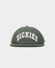 Dickies Princeton Snapback Green