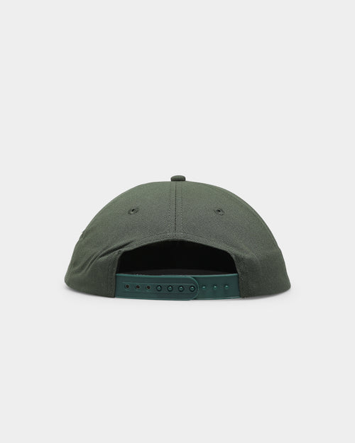 Dickies Princeton Snapback Green