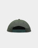 Dickies Princeton Snapback Green