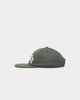 Dickies Princeton Snapback Green