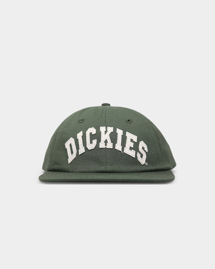 Dickies Princeton Snapback Green
