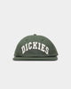 Dickies Princeton Snapback Green