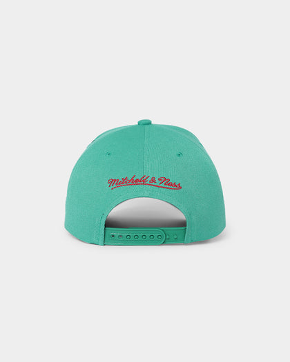 Mitchell & Ness Vancouver Grizzlies 'Roses HWC' Pro Crown Snapback Teal