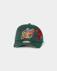 Mitchell & Ness Seattle Sonics 'Roses HWC' Pro Crown Snapback Green