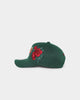 Mitchell & Ness Seattle Sonics 'Roses HWC' Pro Crown Snapback Green