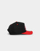 New Era Chicago Bulls '2Tone Team Script' Golfer Snapback Original Team Colours