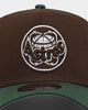 New Era Houston Astros 'Beef & Broccoli' 9FORTY A-Frame Snapback Dark Brown