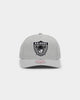 Mitchell & Ness Las Vegas Raiders 'Wool Blend' Snapback Grey