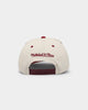 Mitchell & Ness Chicago Bulls 'Strawberry & Cream' Pro Crown Snapback Vintage White