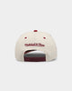 Mitchell & Ness Philadelphia 76ers 'Strawberry & Cream' Pro Crown Snapback Vintage White