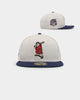 New Era San Diego Padres 'Batter Up' 59FIFTY Fitted Stone