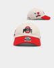 47 Brand Ohio State Buckeyes NCAA Local '47 Clean Up Strapback Bone