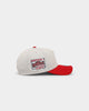 New Era Tampa Tarpons 'Batter Up' 9FORTY A-Frame Snapback Stone